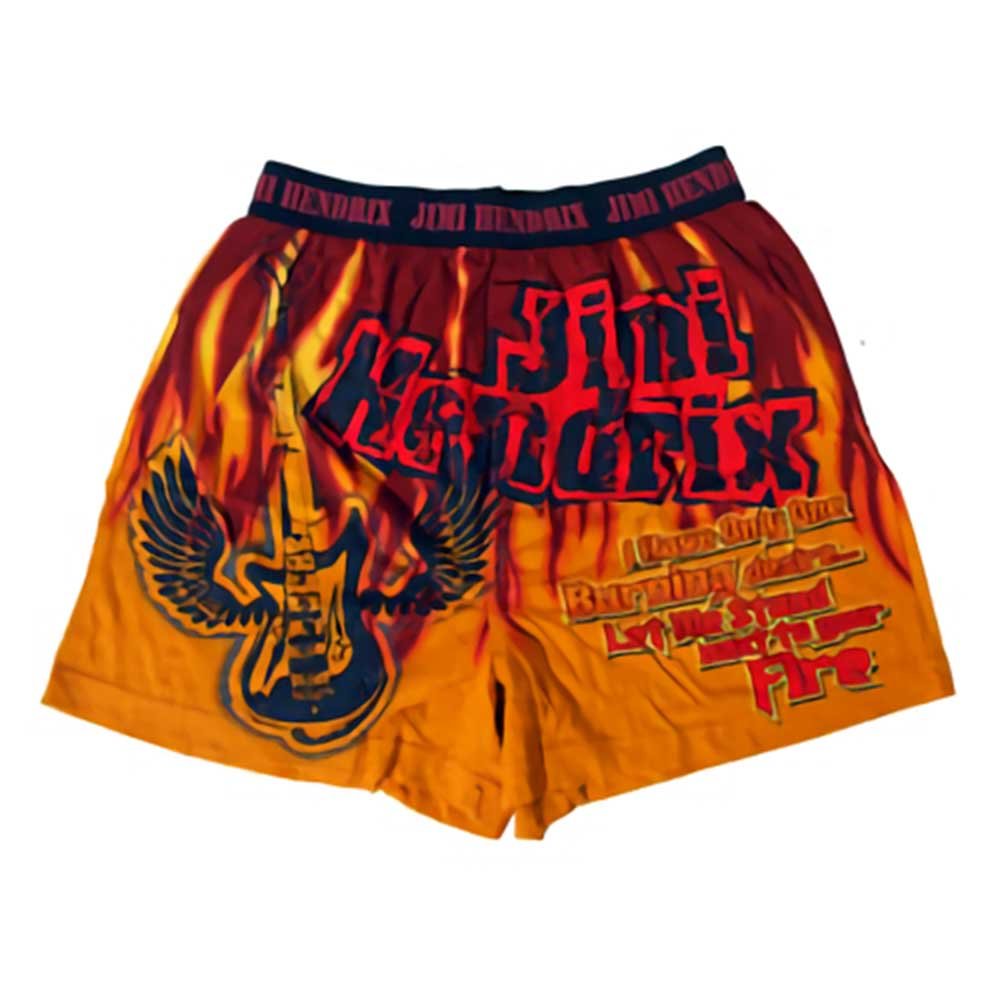 JIMI HENDRIX ジミヘンドリックス (追悼 55年 ) - I Have Only One Burning Desire / Boxer Shorts / レア / 一点限り / ボトムス / メンズ - PGS